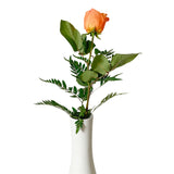 ROSAS INDIVIDUALES